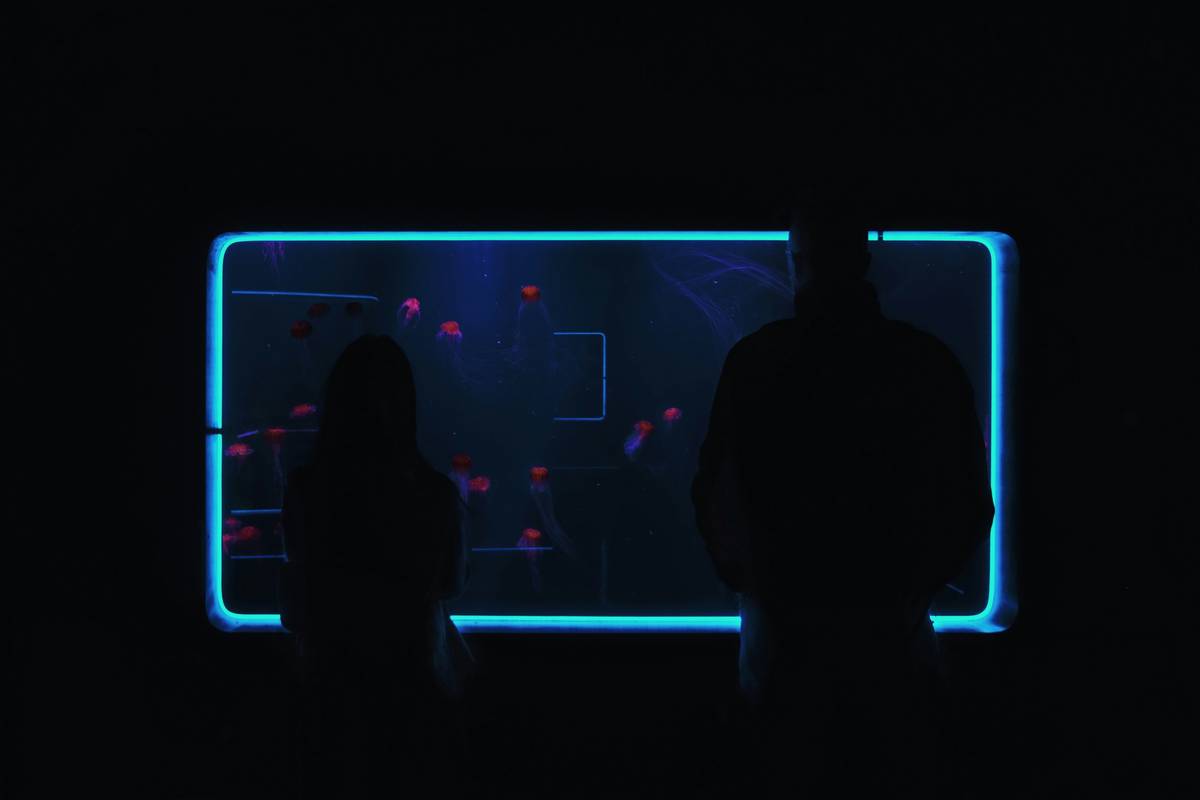 Unity Dating Sim Tutorial: Build Your First Flirty Game in 2024 (Without Losing Your Mind)